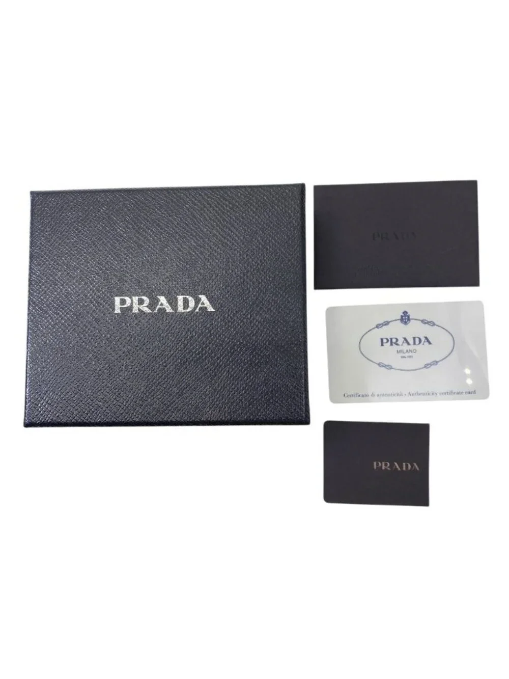 Prada brand model